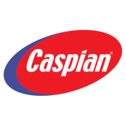 Caspian Networks logo