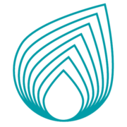 Netas logo