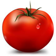 Tomato Firmware logo